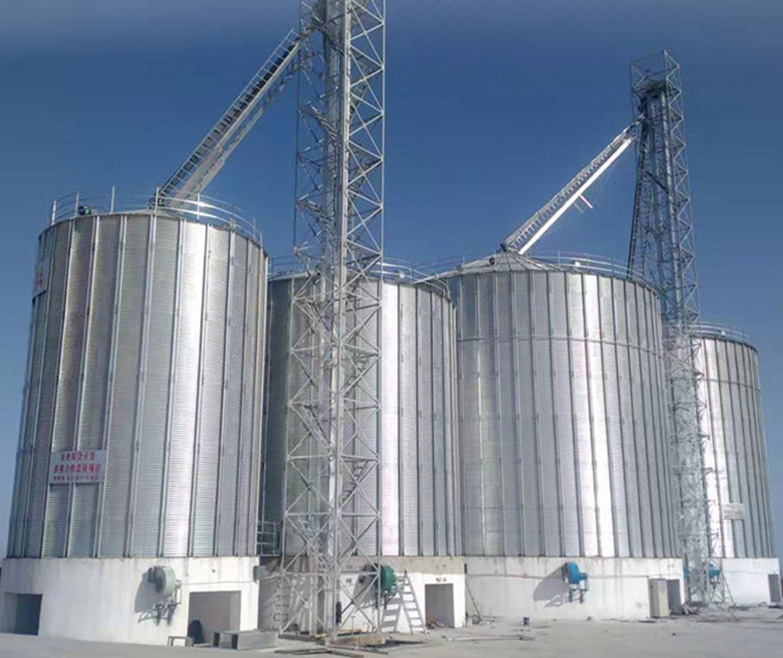 500-1000T玉米倉(cāng)平底獨(dú)立儲(chǔ)存?zhèn)}